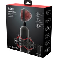 Проводной микрофон Ritmix RDM-230 USB Eloquence