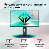 Игровой монитор Oklick GMNG GM-24F02