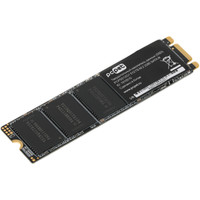 SSD PC Pet 512GB PCPS512G1