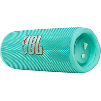 Беспроводная колонка JBL Flip 6 (бирюзовый)