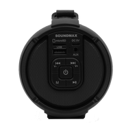 Беспроводная колонка Soundmax SM-PS5020B (черный)