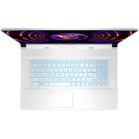 Игровой ноутбук MSI Sword 17 A12VE-806XRU 32 Гб