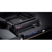 Оперативная память G.Skill Flare X5 2x32ГБ DDR5 6000 МГц F5-6000J3040G32GX2-FX5