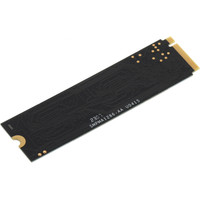 SSD PC Pet 1TB PCPS001T3