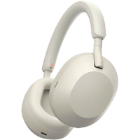 Наушники Sony WH-1000XM5 (серый)