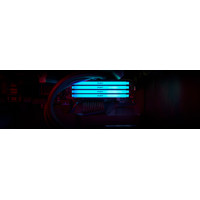 Оперативная память Kingston FURY Beast RGB 16ГБ DDR4 2666 МГц KF426C16BB12A/16
