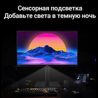 Игровой монитор Sanc G5c II M2466QPT