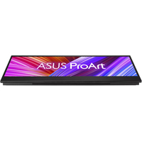 Монитор ASUS ProArt PA147CDV