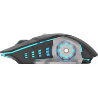 Игровая мышь Oklick 770GW (черный)