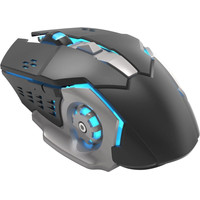 Игровая мышь Oklick 770GW (черный)