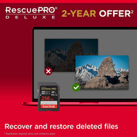 Карта памяти SanDisk Extreme PRO SDXC SDSDXEP-256G-GN4IN 256GB