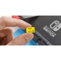 Карта памяти SanDisk For Nintendo Switch microSDXC SDSQXAO-256G-GN3ZN 256GB