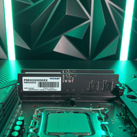 Оперативная память Patriot Signature Premium Line 32ГБ DDR5 4800МГц PSP532G48002H1
