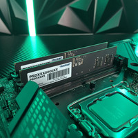 Оперативная память Patriot Signature Premium Line 32ГБ DDR5 4800МГц PSP532G48002H1
