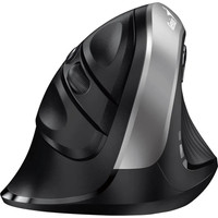 Вертикальная мышь Genius Ergo 8250S (черный/серебристый)