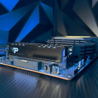 Оперативная память Patriot Signature Premium 8ГБ DDR5 4800МГц PSP58G480041H1