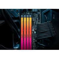 Оперативная память Kingston FURY Renegade RGB 16ГБ DDR5 8000МГц KF580C38RSA-16