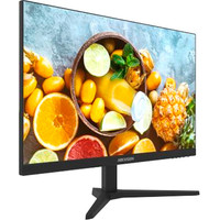 Монитор Hikvision DS-D5024FN10