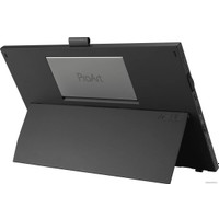 Портативный монитор ASUS ProArt PA169CDV