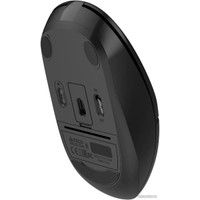 Мышь A4Tech Fstyler FB12S (черный)