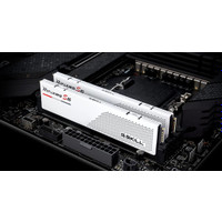 Оперативная память G.Skill Ripjaws S5 2x16ГБ DDR5 6000 МГц F5-6000J3644F16GX2-RS5W