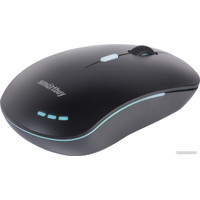 Мышь SmartBuy SBM-288-K