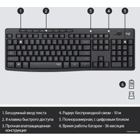 Офисный набор Logitech MK295 Silent Wireless Combo 920-009813 (графитовый)
