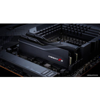 Оперативная память G.Skill Trident Z5 2x24GB DDR5 PC5-64000 F5-8000J4048F24GX2-TZ5K