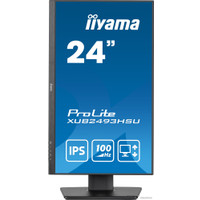 Монитор Iiyama ProLite XUB2493HSU-B6