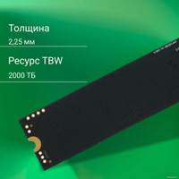 SSD Digma Meta M6 2TB DGSM4002TM63T