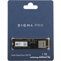 SSD Digma Pro Top P6 1TB DGPST5001TP6T4