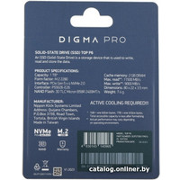 SSD Digma Pro Top P6 1TB DGPST5001TP6T4