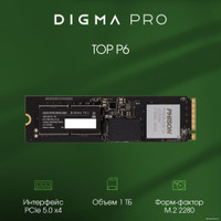 SSD Digma Pro Top P6 2TB DGPST5002TP6T4