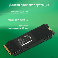 SSD Digma Top G3 4TB DGST4004TG33T