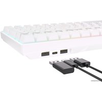 Клавиатура Royal Kludge RK100 RGB (белый, RK Brown)