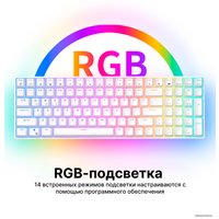 Клавиатура Royal Kludge RK100 RGB (белый, RK Brown)