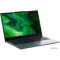 Ноутбук Digma Pro Fortis M DN15P5-ADXW05