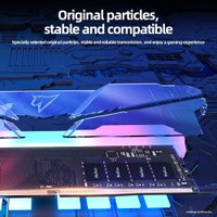 Оперативная память Netac Shadow RGB 2x16ГБ DDR4 3600 МГц NTSRD4P36DP-32E