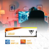 Оперативная память Patriot Viper Elite 5 RGB TUF Gaming Alliance 2x24ГБ DDR5 6600 МГц PVER548G66C34KT