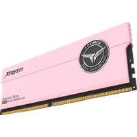 Оперативная память Team T-Force Xtreem 2x16ГБ DDR5 7600 МГц FFPD532G7600HC36FDC01