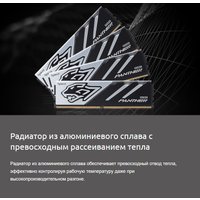 Оперативная память Apacer Panther 2x16ГБ DDR5 5600 МГц AH5U32G56C5227BAA-2 Оперативная память Apacer Panther 2x16ГБ DDR5 5600 МГц AH5U32G56C5227BAA-2