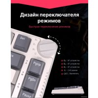 Клавиатура Royal Kludge RK-H81 RGB White Night (RK Brown)