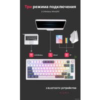 Клавиатура Royal Kludge RK-H81 RGB White Night (RK Brown)