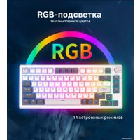 Клавиатура Royal Kludge RK-H81 RGB White Night (RK Brown)