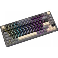 Клавиатура Royal Kludge RK-M75 RGB Phantom (RK Silver)