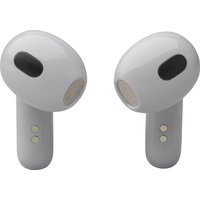 Наушники JBL Live Flex 3 (серебристый)