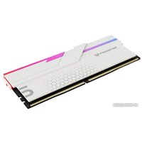 Оперативная память Acer Predator Hermes RGB 2x16ГБ DDR5 6800 МГц BL.9BWWR.399