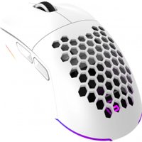 Игровая мышь Оклик 900GMW (белый)