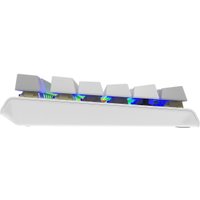 Клавиатура A4Tech Fstyler FS100 Neon (серебристый/серый)