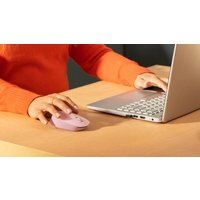 Мышь Logitech M172 (синий)